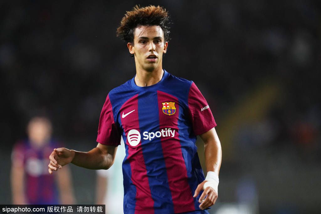 亚洲国产精品自在在线观看