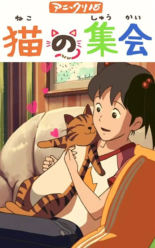她不是你的