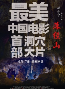 九九草